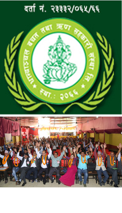 Organization Profile